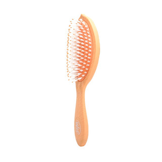 Wetbrush Go Green Shine & Treatment hairbrush Coconut Oil